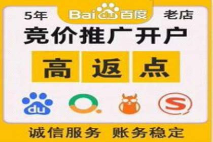 实战技巧：竞价推广案例解析与优化策略